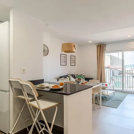 4238 - Ab Duplex Santa Coloma Iii Daire
